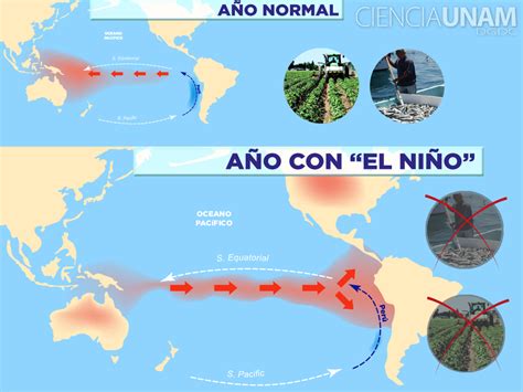 CNBC: cómo afectará El Niño al clima este invierno
